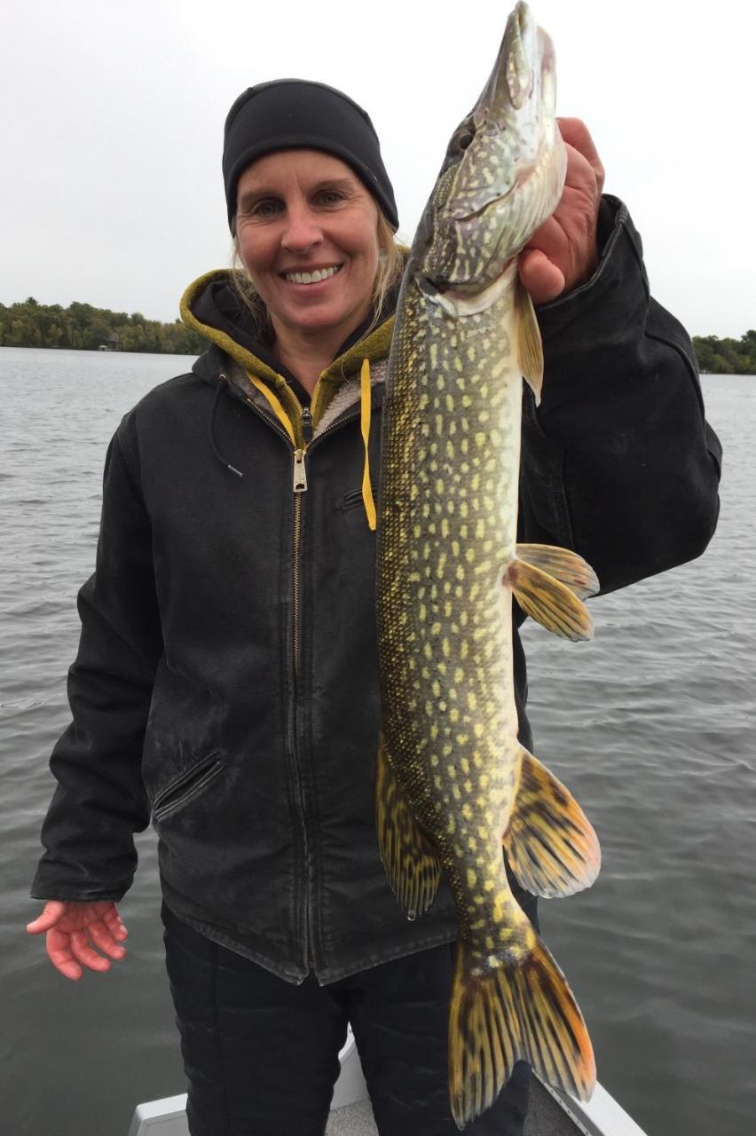 Curriers Lakeview Lodge Rice Lake المظهر الخارجي الصورة